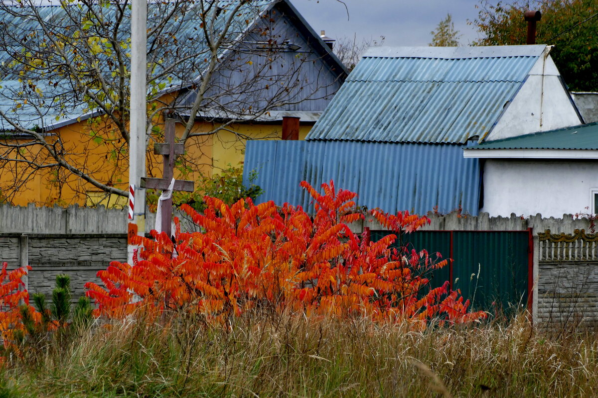 вчерашняя осень 2 - Александр Прокудин