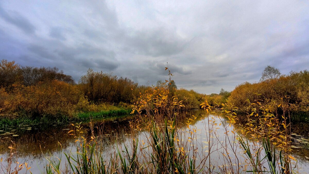 вчерашняя осень 4 - Александр Прокудин
