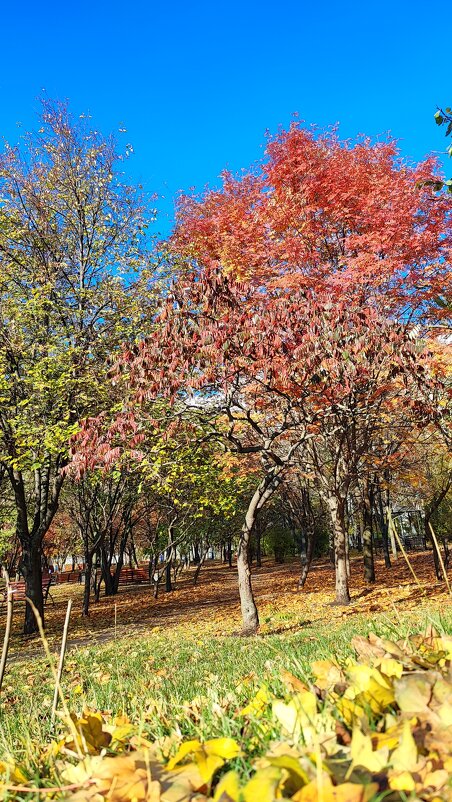 ,,, - Сергей Тимоновский ,,, - Сергей Тимоновский