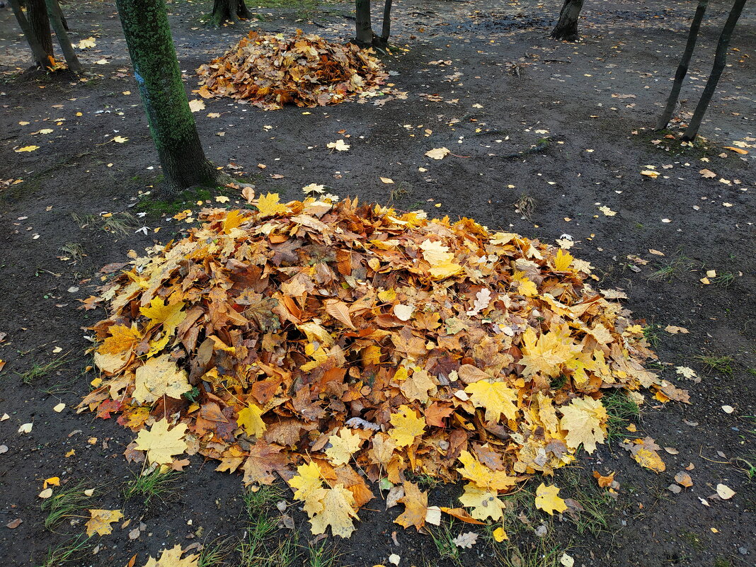 Золотая осень уложенная в кучки - Андрей Лукьянов