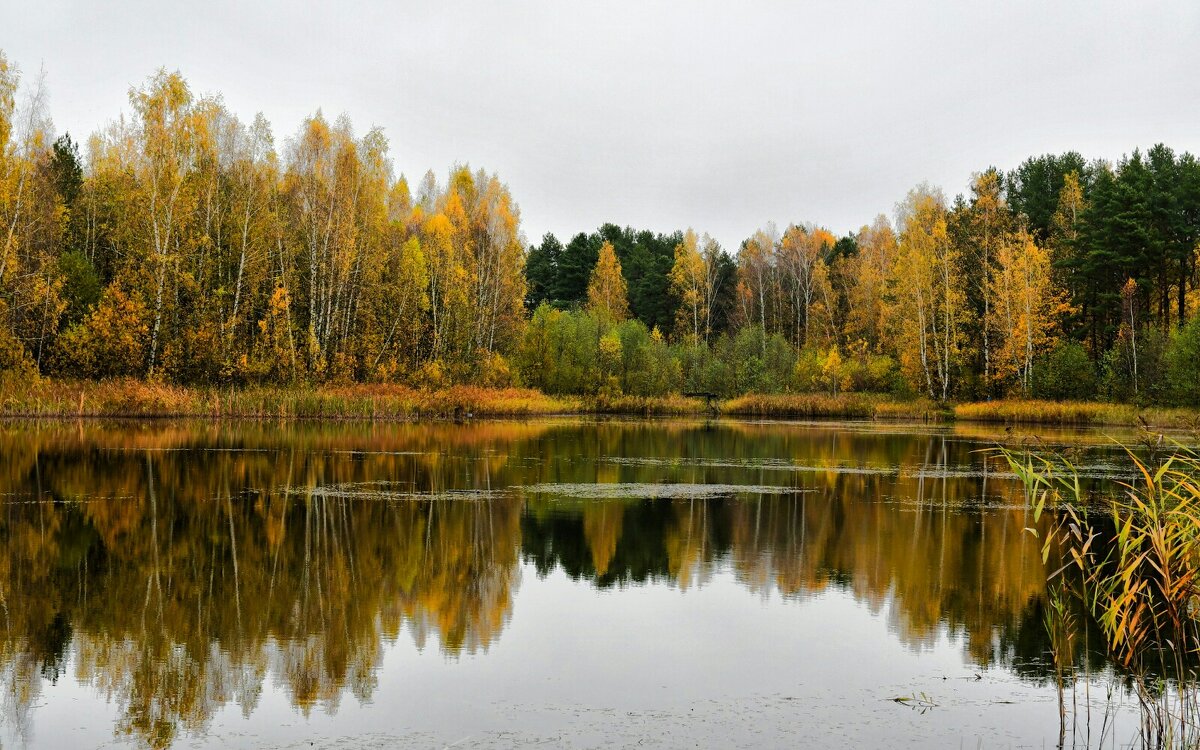 Осень в октябре. - Милешкин Владимир Алексеевич 
