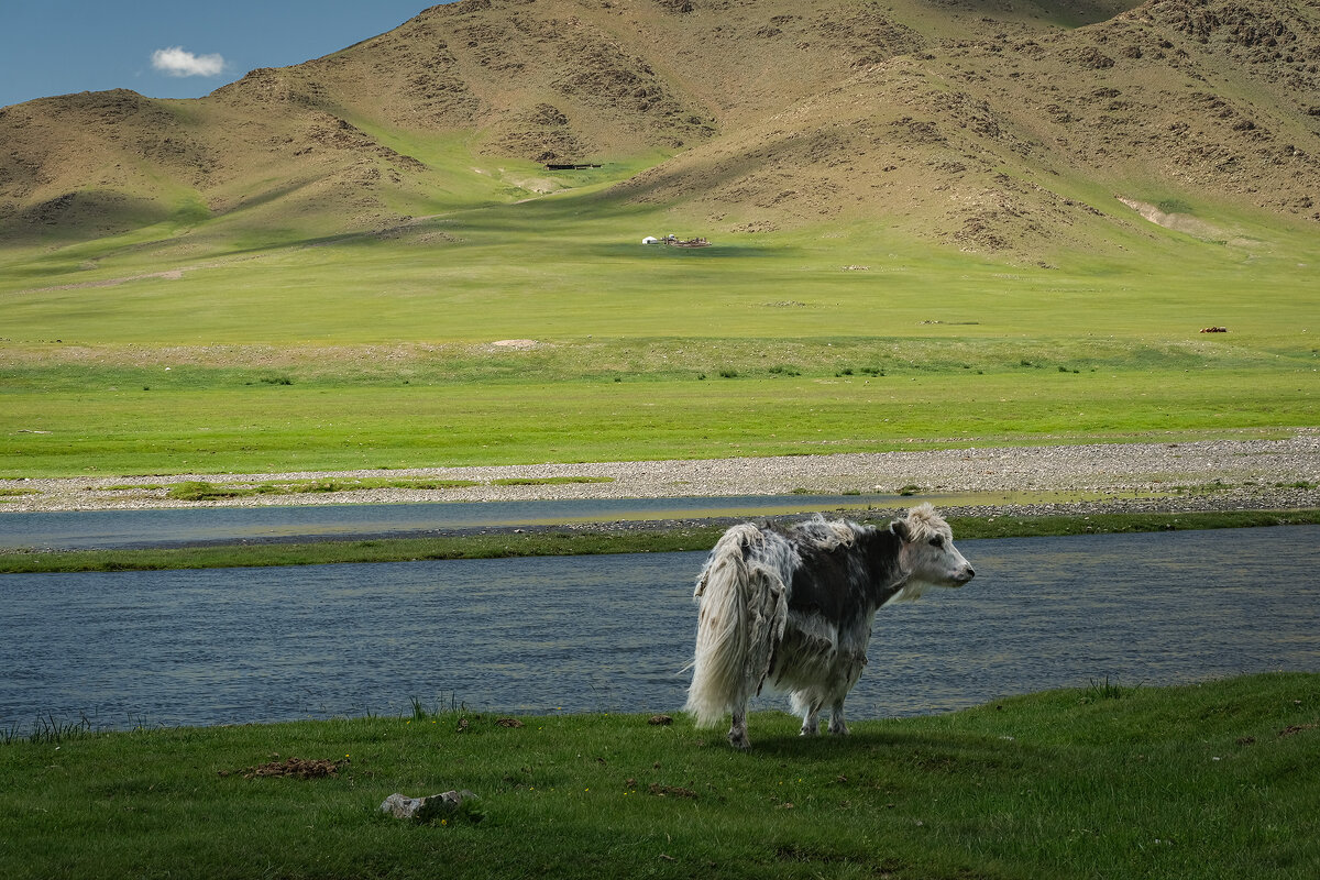 В долине реки Орхон - Galina 