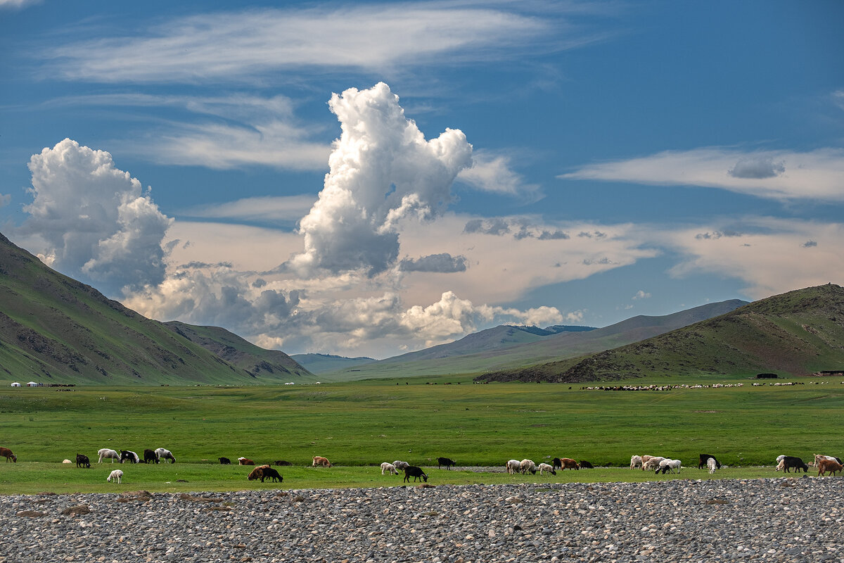 В долине Орхона - Galina 