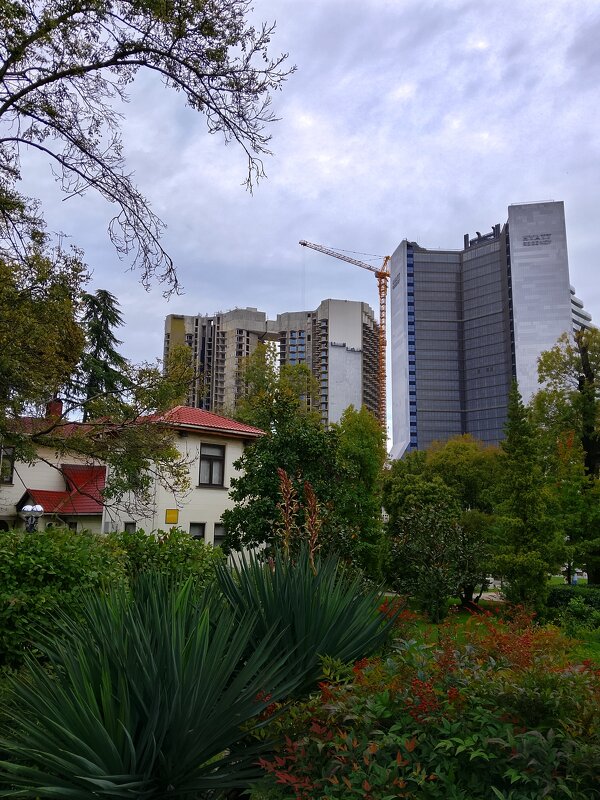 ПРОГУЛКА ПО ГОРОДУ - Tata Wolf