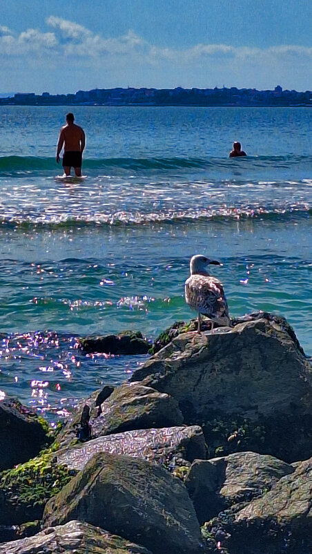 Солнечный Берег встретил 23 сентября хорошей погодой и вполне тёплой водой. - Леонид Школьный