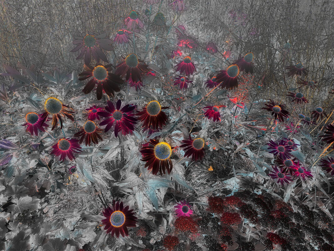 Из Иосифа Бродского - Victor Vinocurov