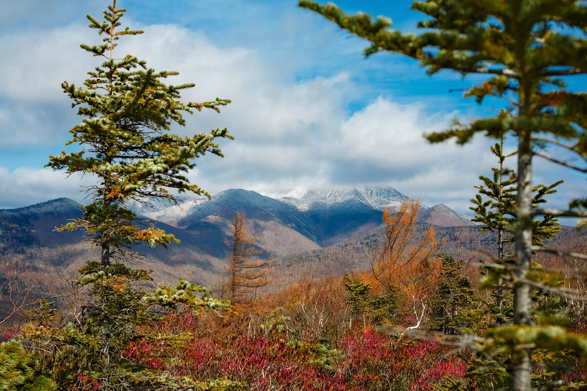 вид на гору Снежную - ЕВГЕНИЯ БОРИСЕНКО