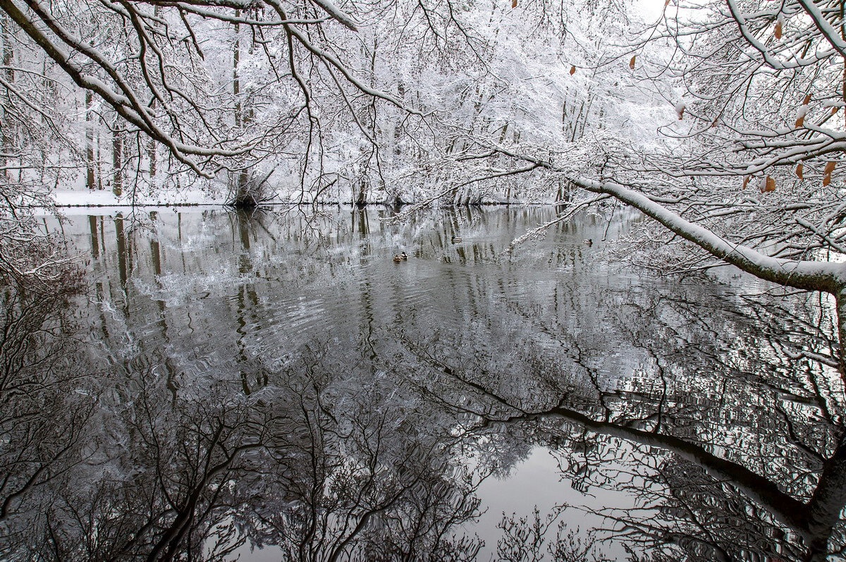 ----------------- - igor G.