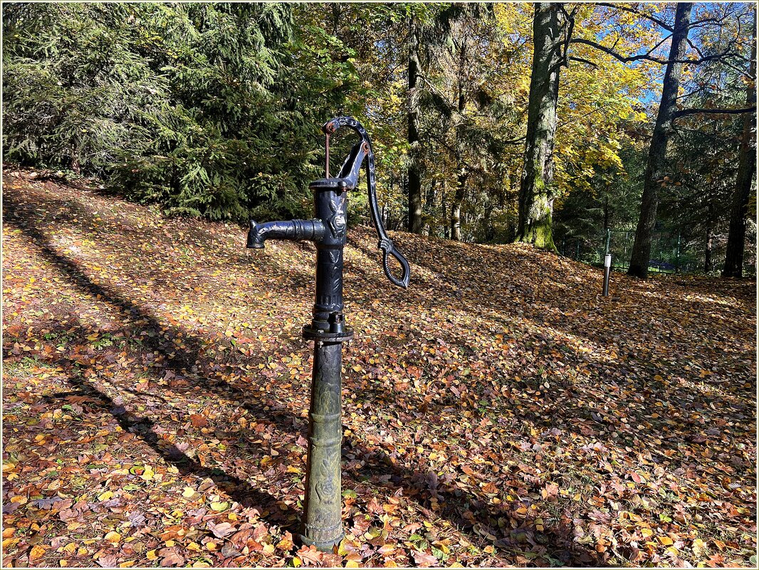 ******* - Валерия Комова ******* - Валерия Комова