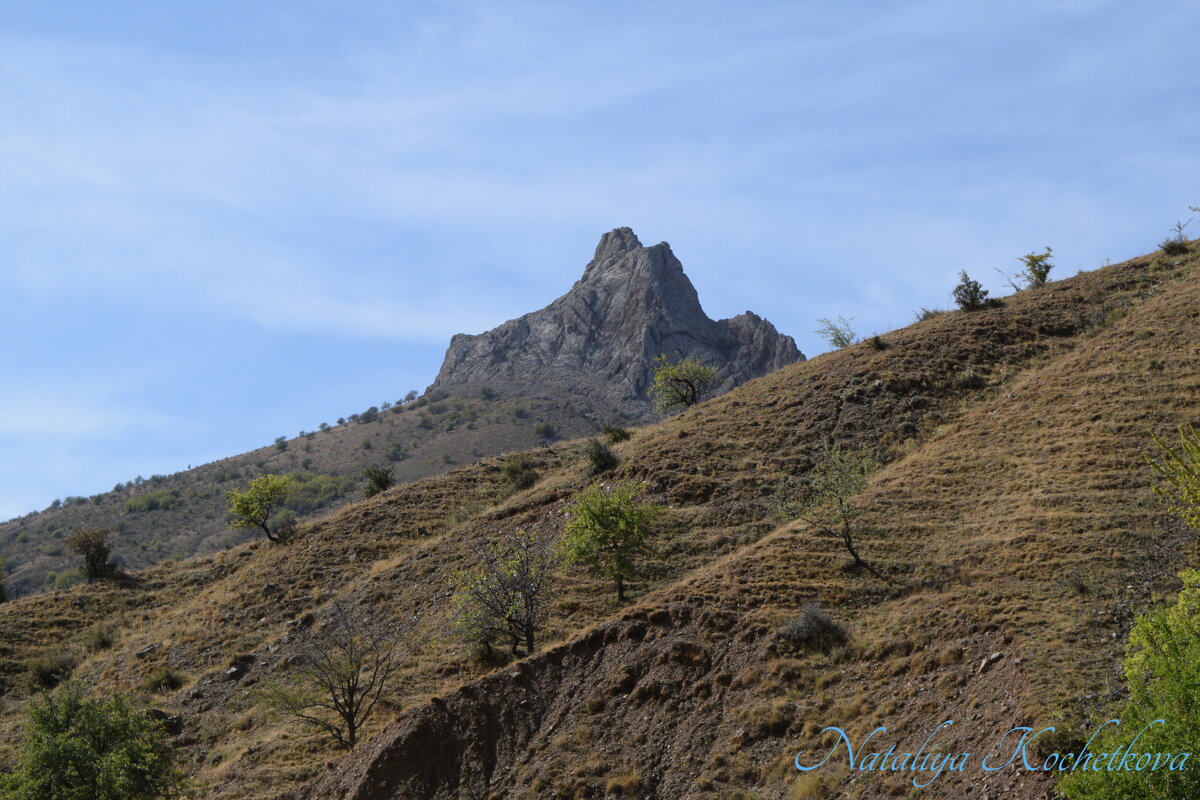Природа Крыма - Amazing Cosmea
