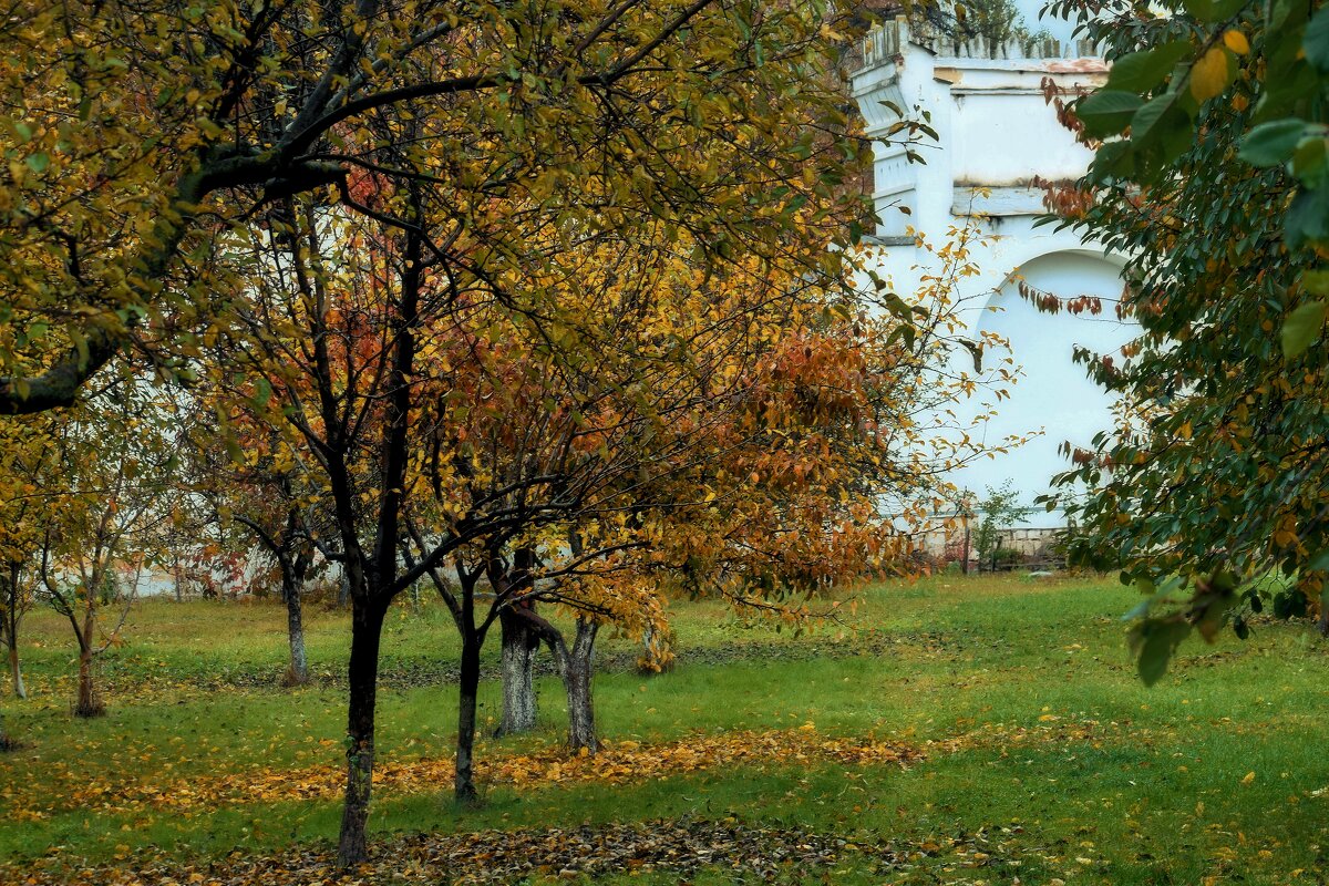 Во саду ли, в огороде.. - Татьяна Помогалова Во саду ли, в огороде.. - Татьяна Помогалова
