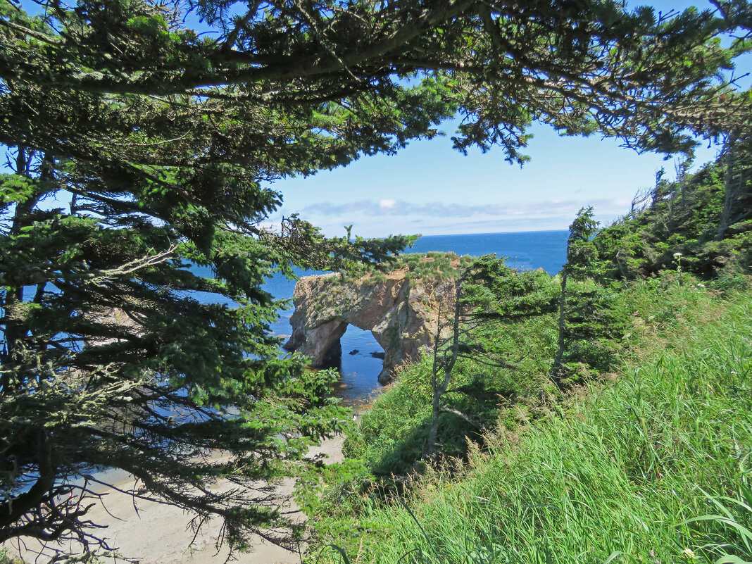 мыс Птичий - ИРЭН@ .