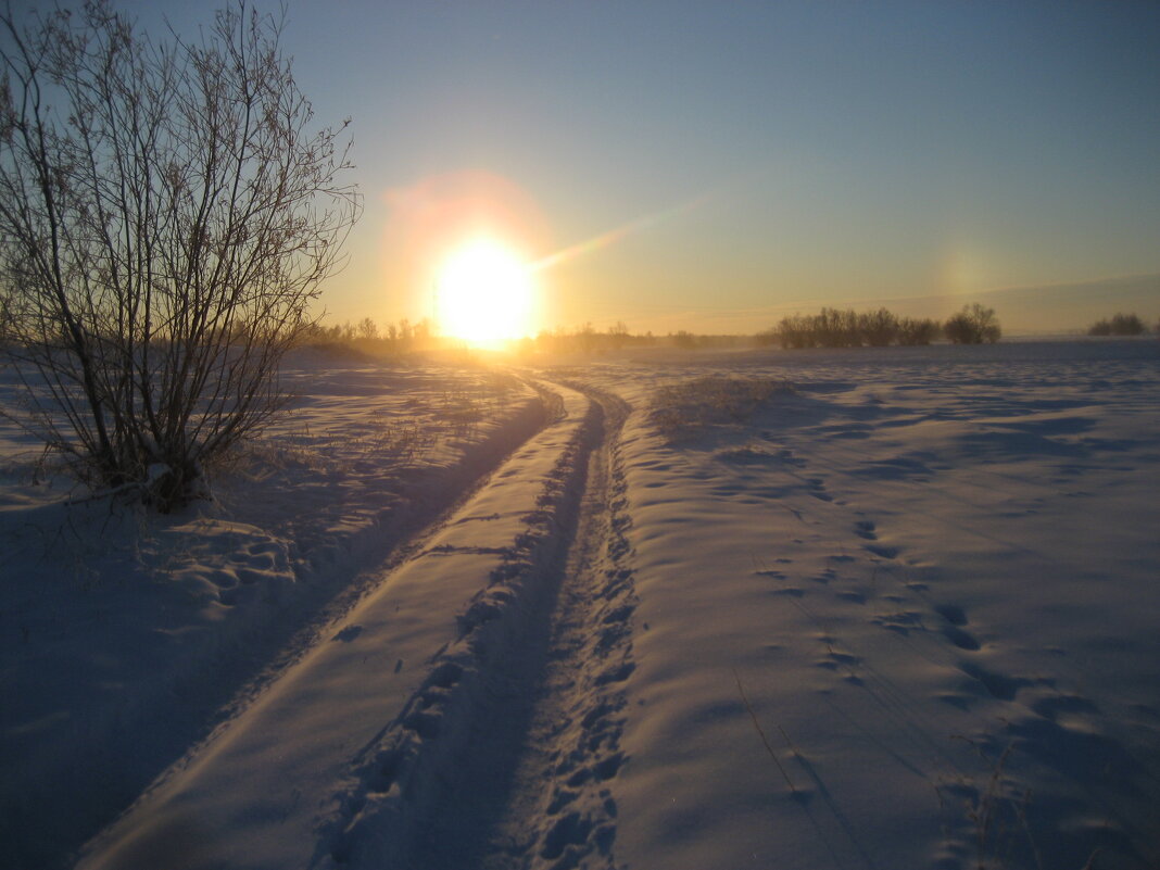 Зимнее солнцестояние - Anna Ivanova