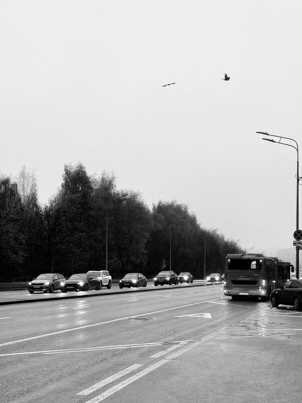 … - Iren Brilliance