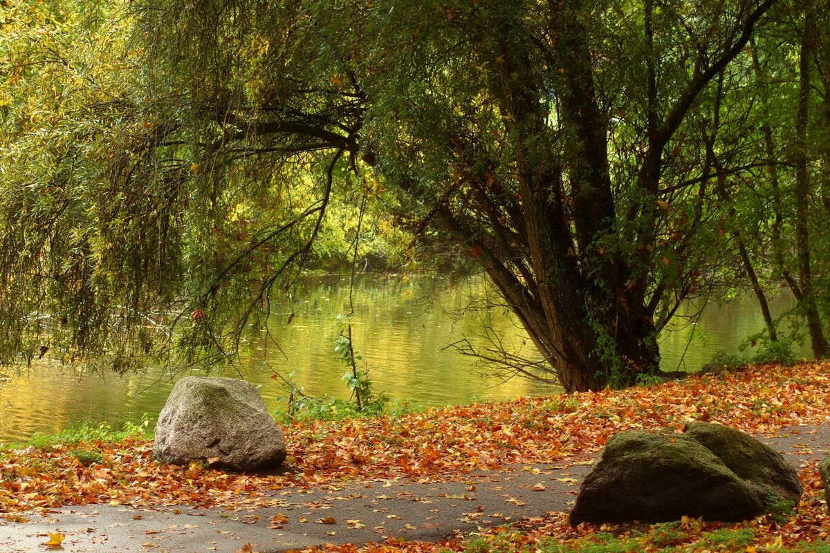 Октябрь - Юрий. Шмаков Октябрь - Юрий. Шмаков
