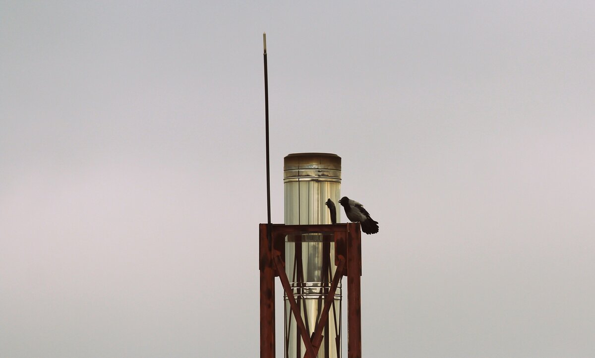 - Свет мой, зеркальце, скажи... - Елена Минина - Свет мой, зеркальце, скажи... - Елена Минина