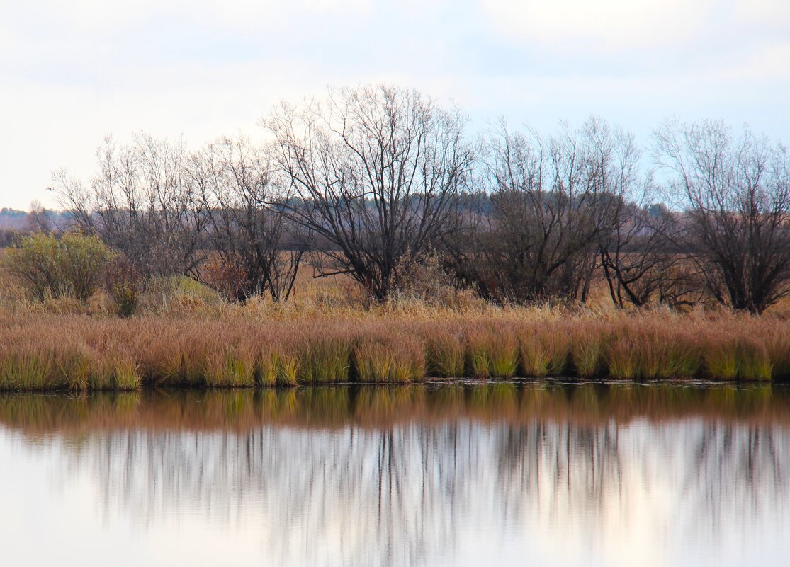 Отражение - Сергей Никифоров