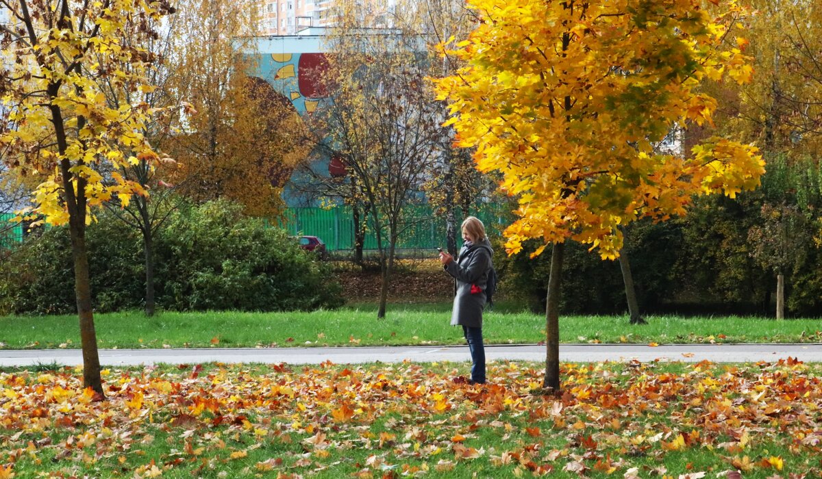 Подготовка к осеннему селфи. - Василий Палий Подготовка к осеннему селфи. - Василий Палий