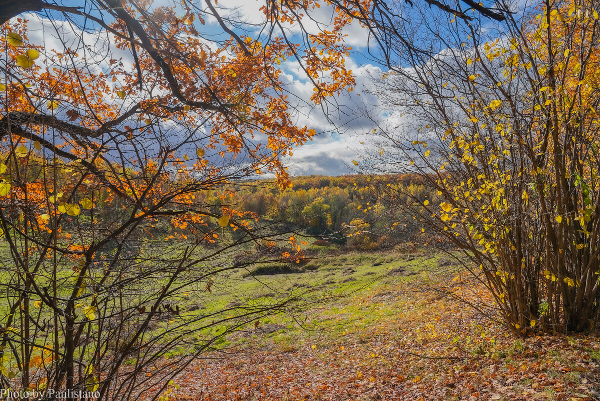 Октябрь в Царицыно... - Владимир Жданов