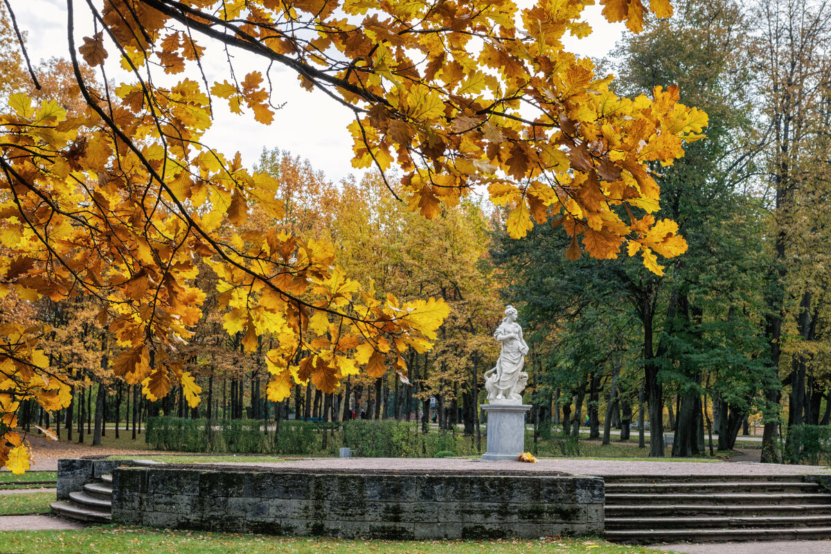 Про Питер - Владимир Колесников Про Питер - Владимир Колесников