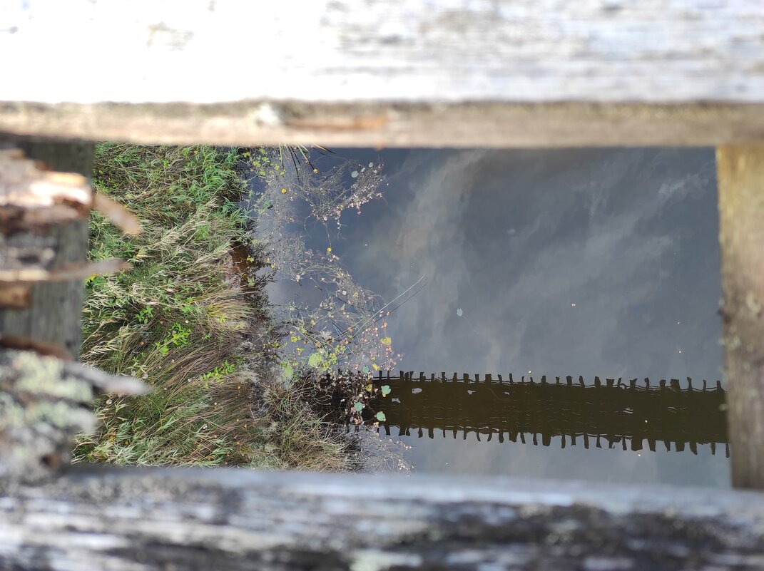 Сквозь настил моста... - Игорь Ч.