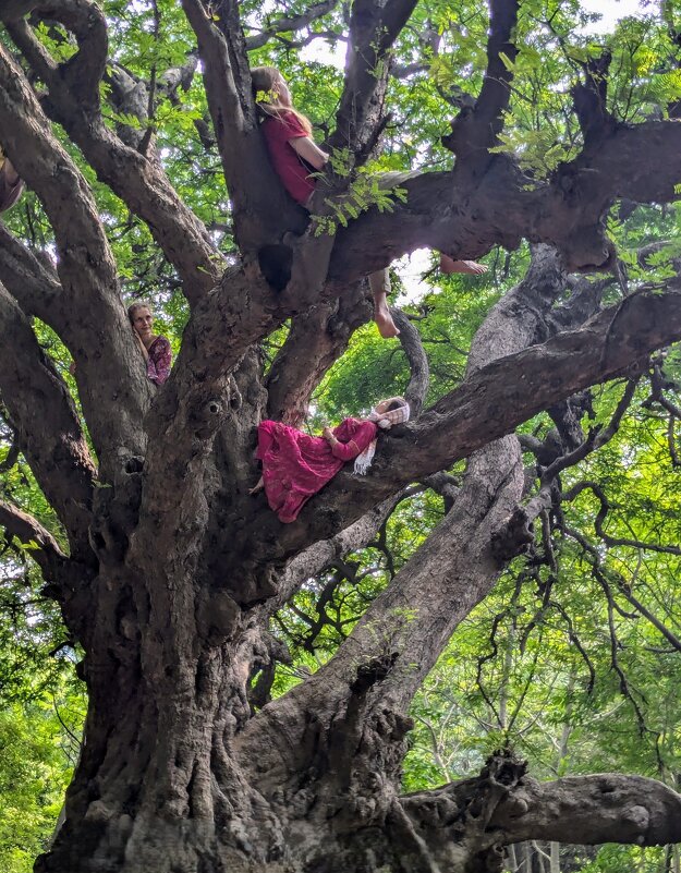 Душой прирастая - liudmila drake Душой прирастая - liudmila drake