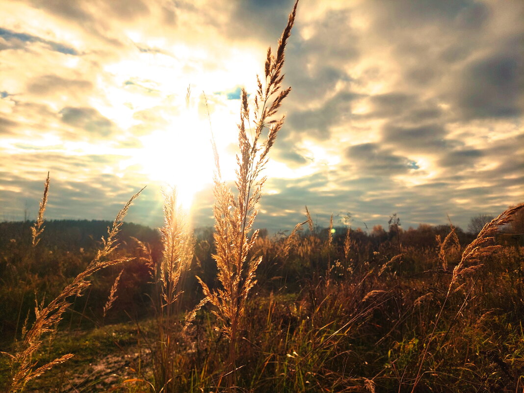 солнышко выползло на пару секунд.. - Артём солнышко выползло на пару секунд.. - Артём