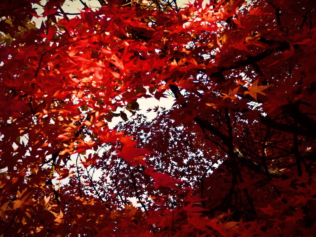 Осень 16 - Алексей Кузнецов