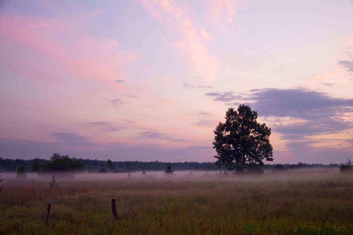 Рассвет. Борхов. - Сергей Рожков