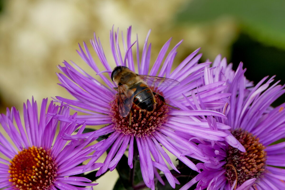 сюжеты октября  3 - Александр Прокудин
