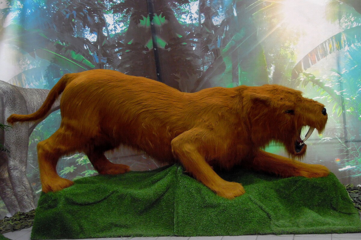 Экспонат. - nadyasilyuk Вознюк Экспонат. - nadyasilyuk Вознюк