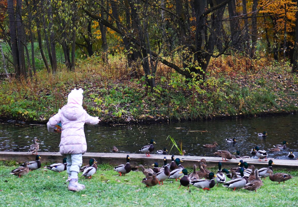 Кормилица. - Василий Палий