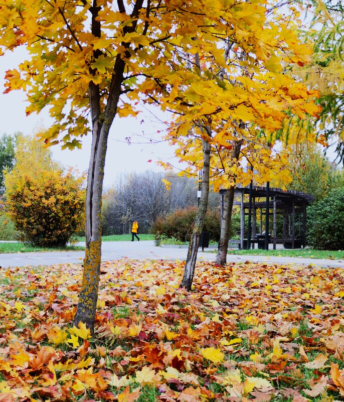 Конец октября. - Василий Палий