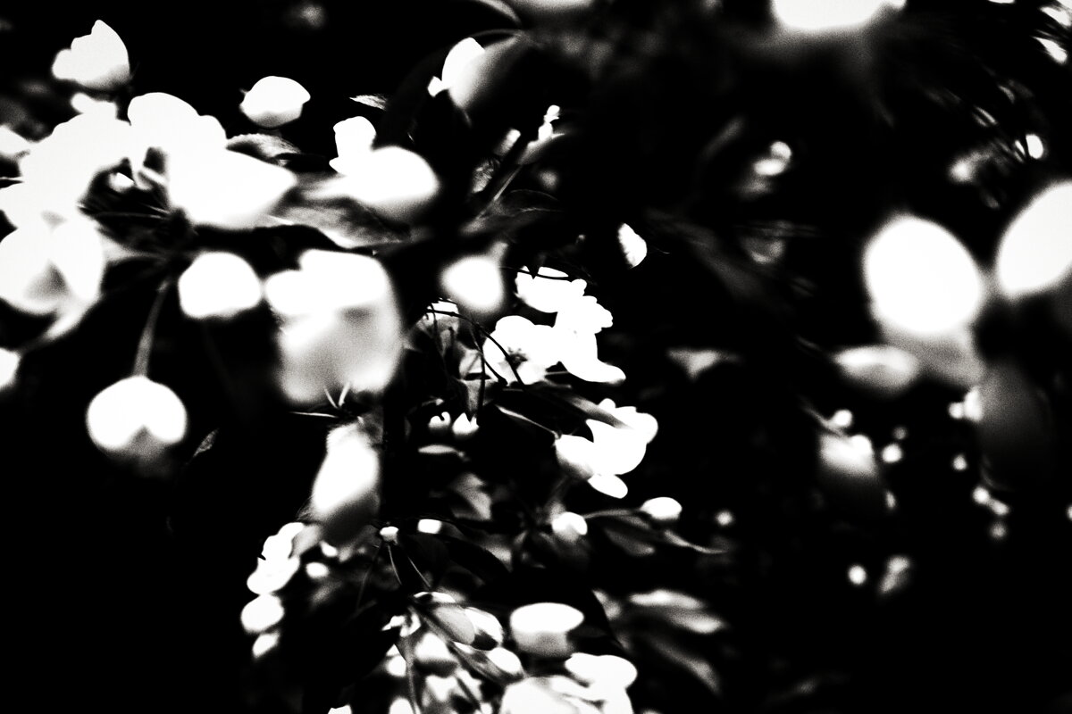 Фотография - Денис Безногов