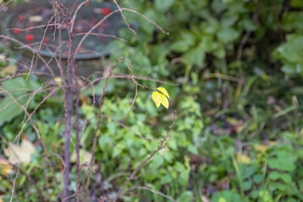 Последние - Валерий Иванович