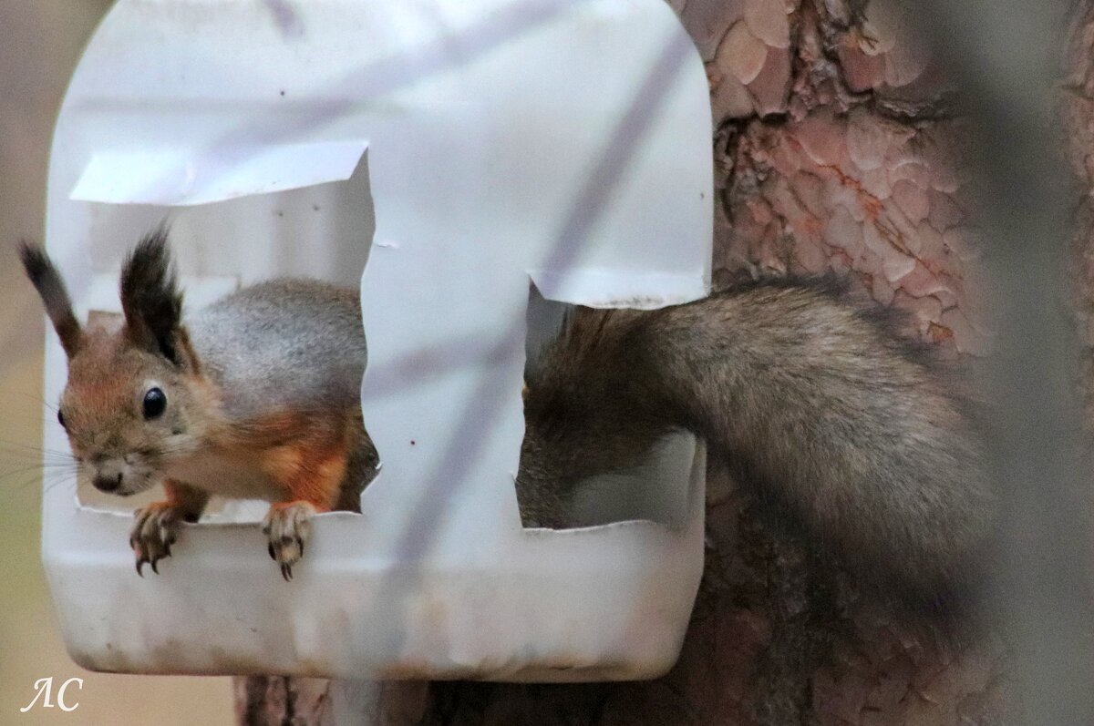 Проверка - Любовь Сахарова