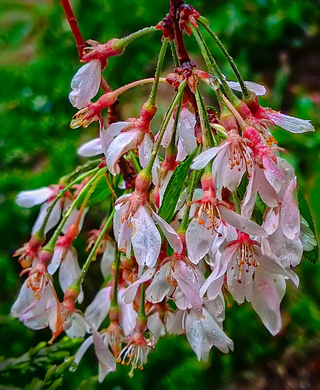 После дождя - Игорь 