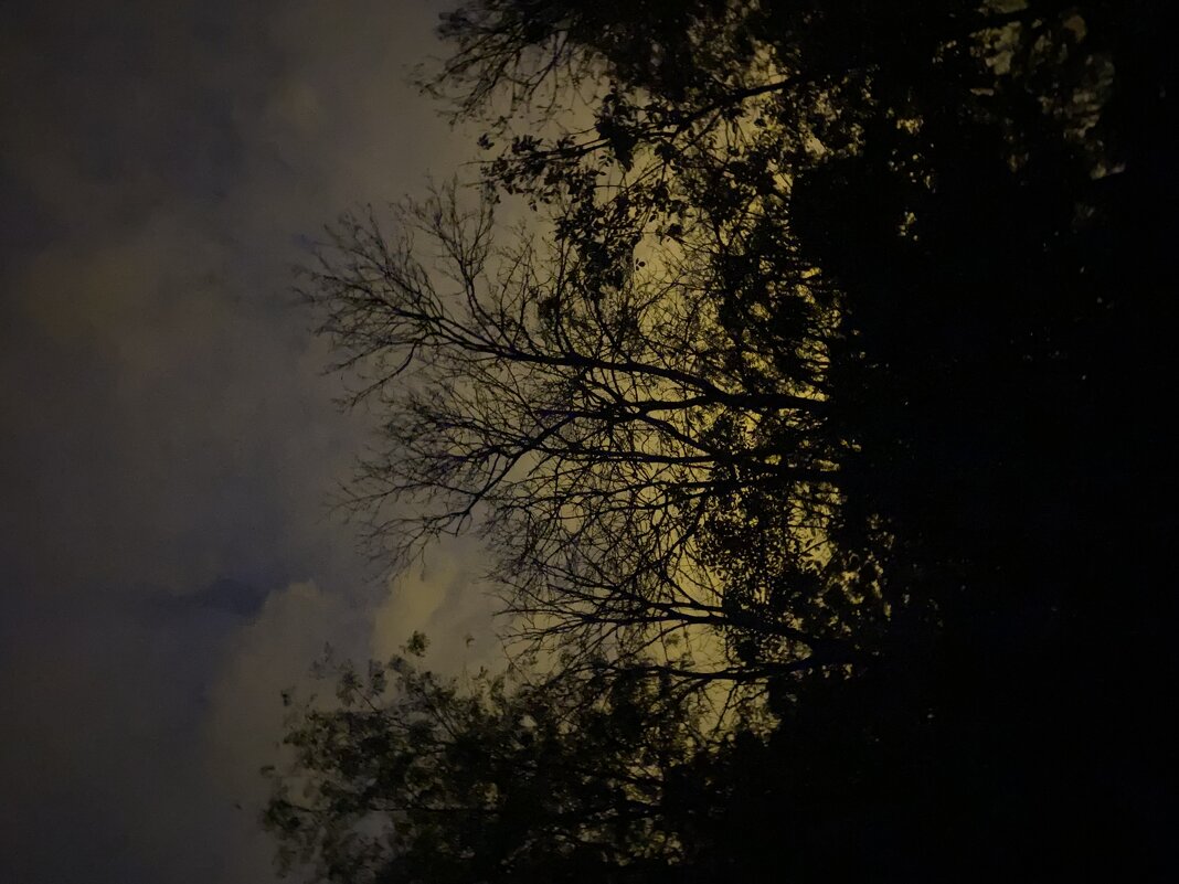 Ранеее утро - М С