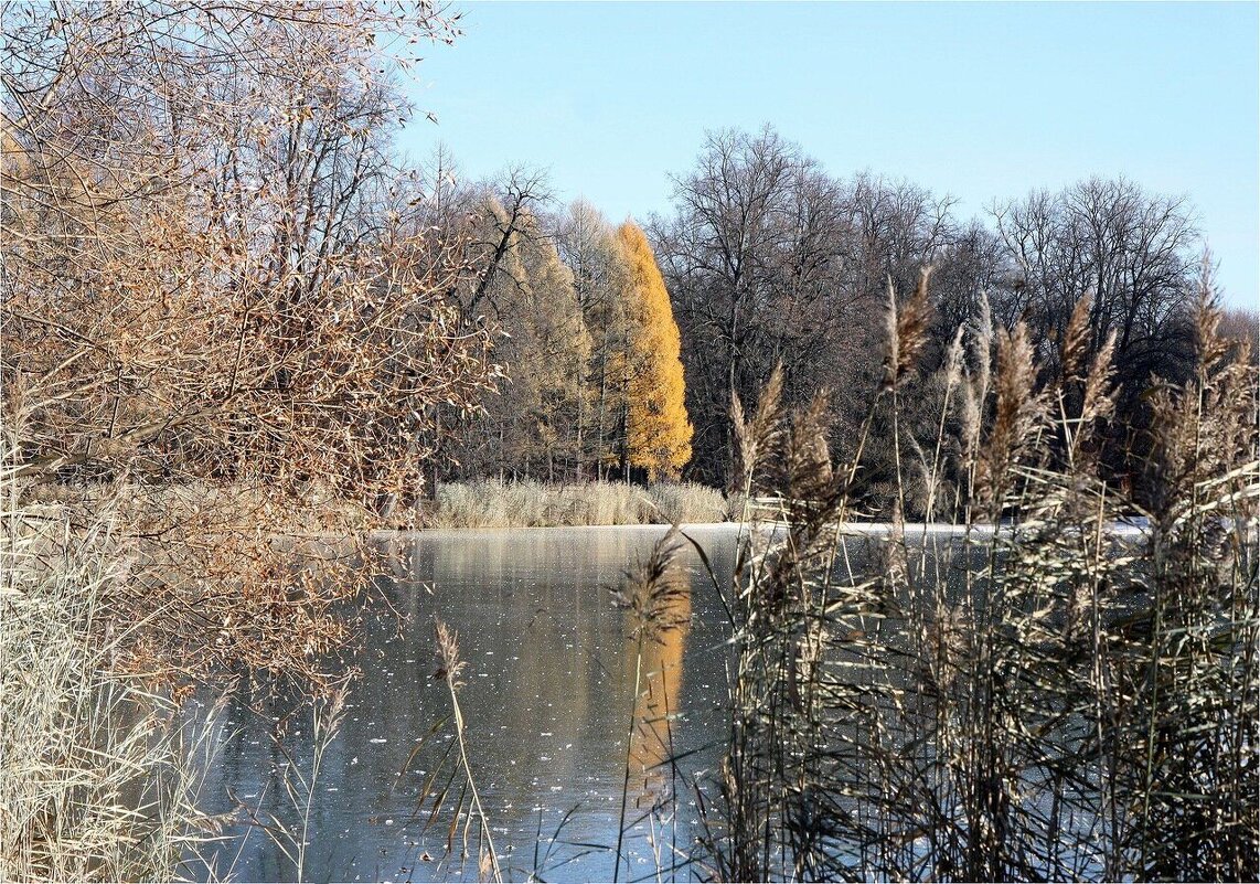 Первый лед - ZNatasha - Первый лед - ZNatasha -