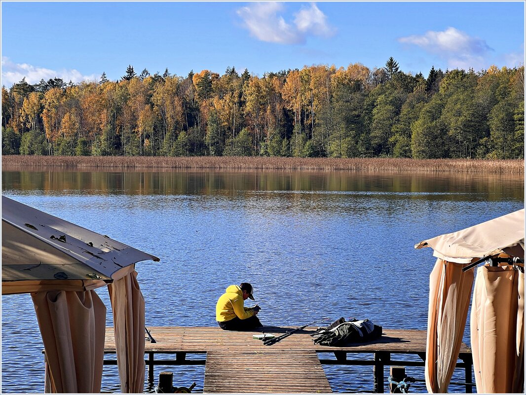 ****** - Валерия Комова