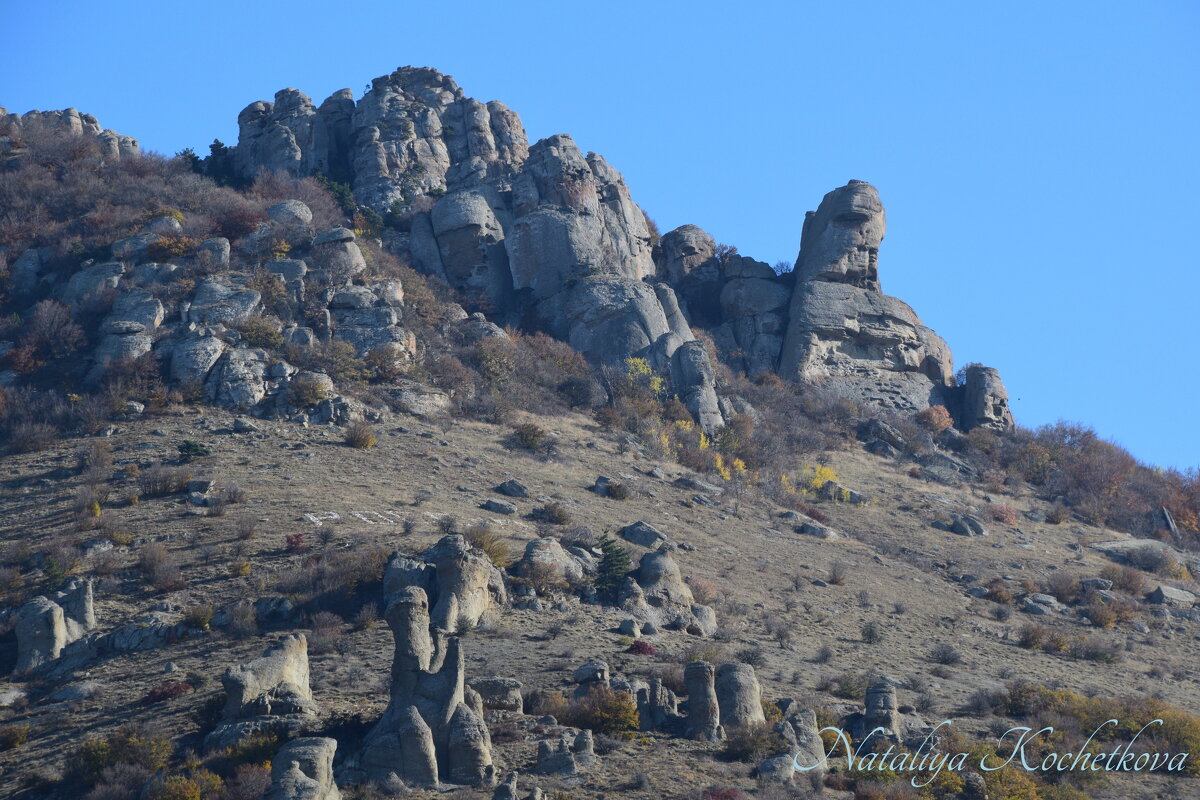 Природа Крыма - Amazing Cosmea