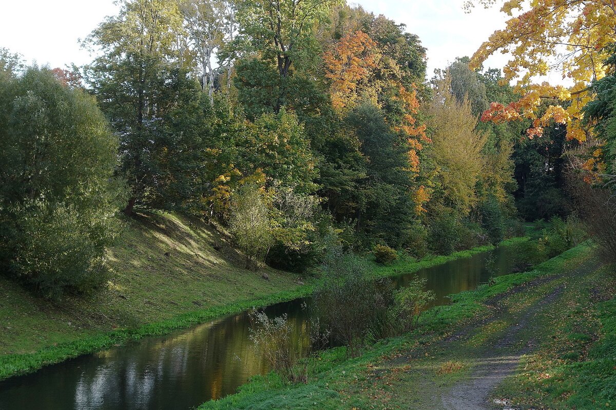 Литовский ручей, Калининград - Рита Симонова