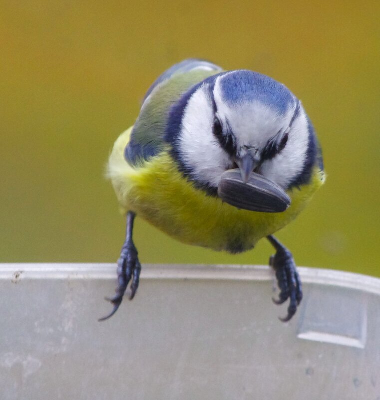 Хоть это досталось ! - Юрий Куликов