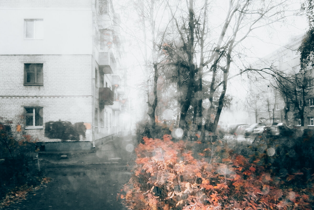 Туманное утро октября - Sergei Vikulov