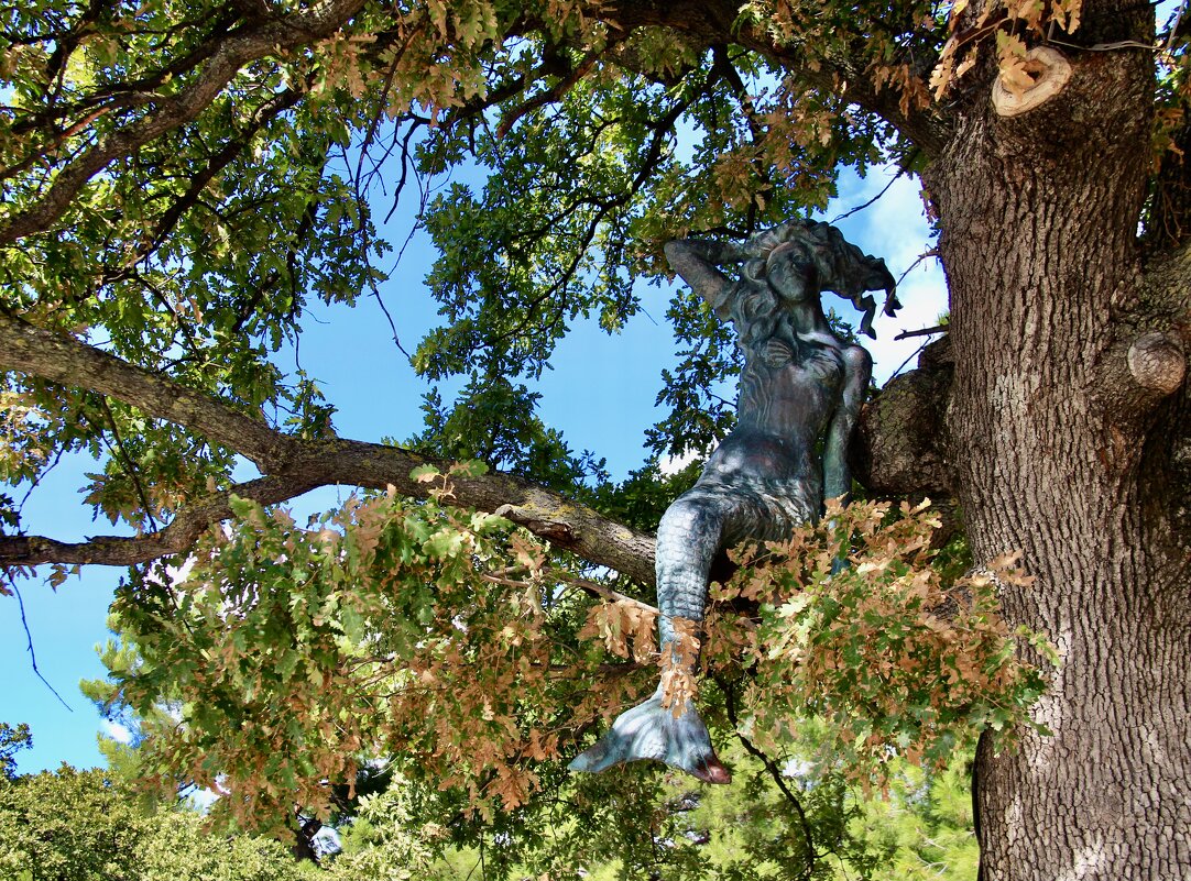 Русалка на ветвях сидит… - Любовь 