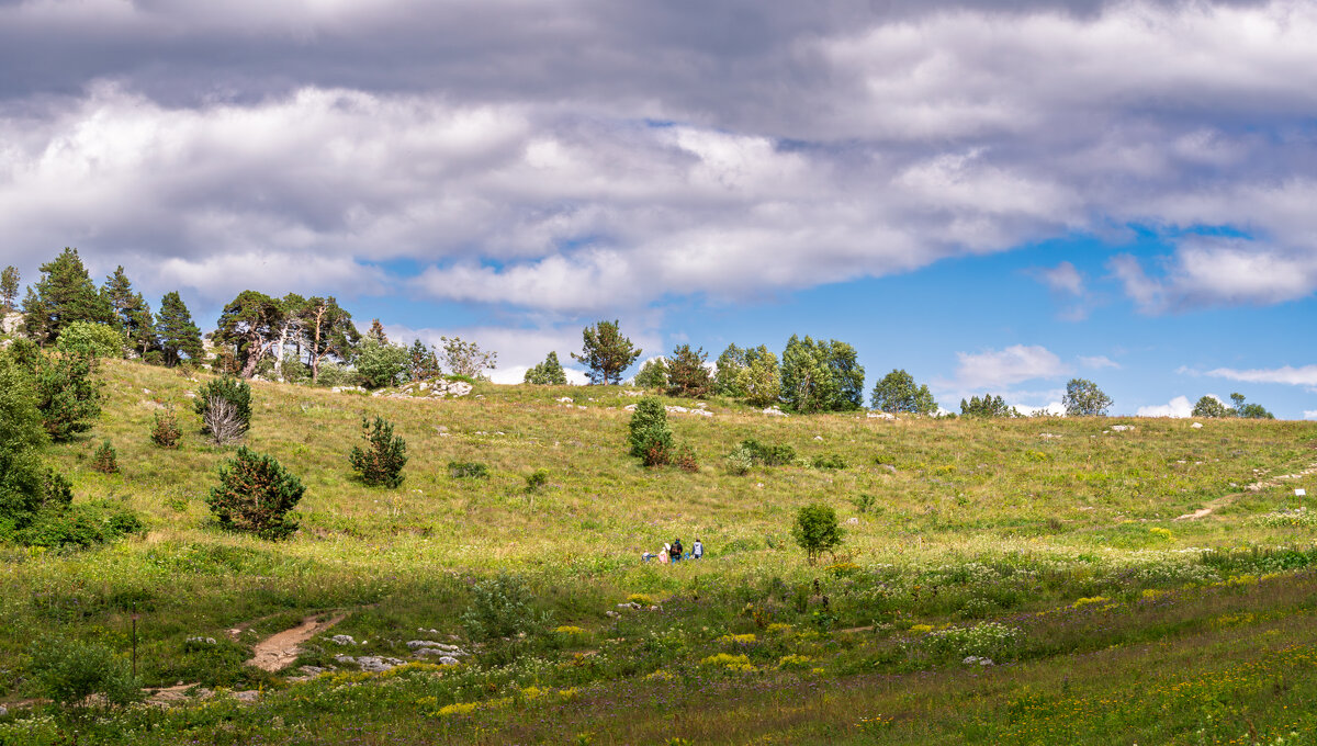 Где то на плато Лаго-Наки - Игорь Сикорский Где то на плато Лаго-Наки - Игорь Сикорский