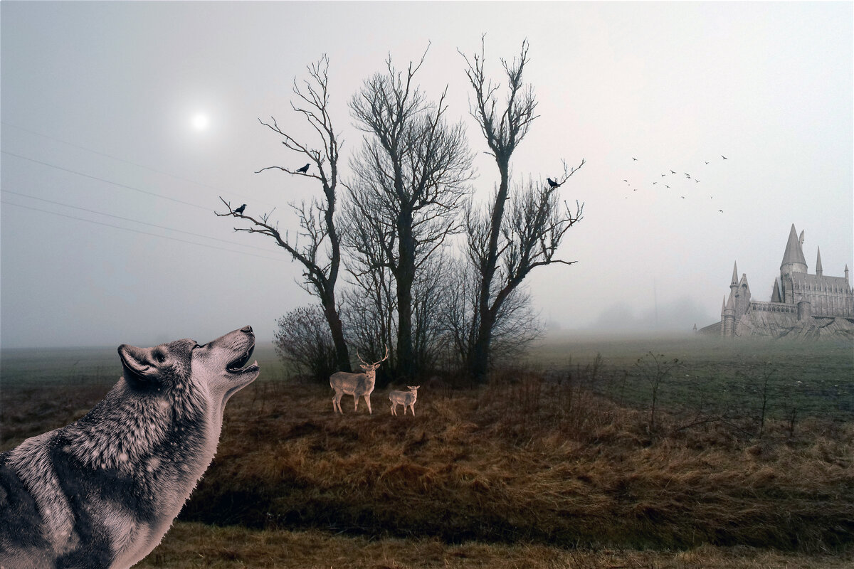 ....... - Свечение Язычество