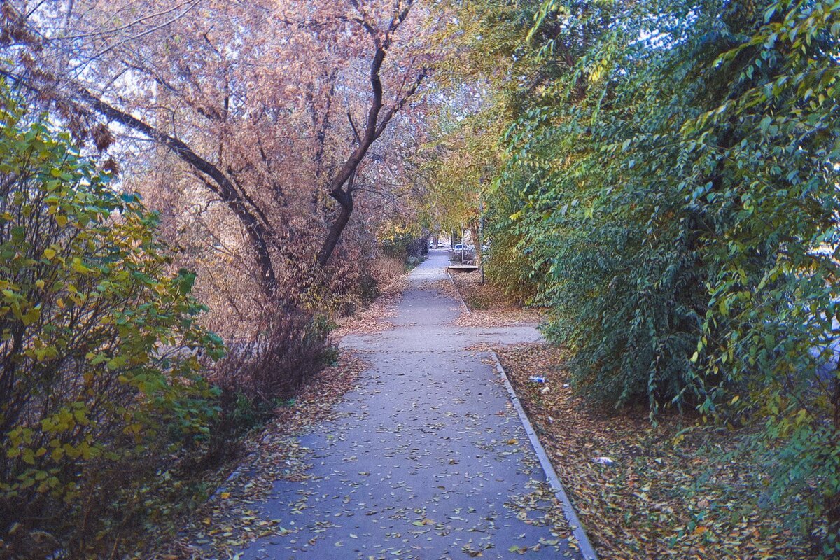 Путь осени - Игорь Солдаткин