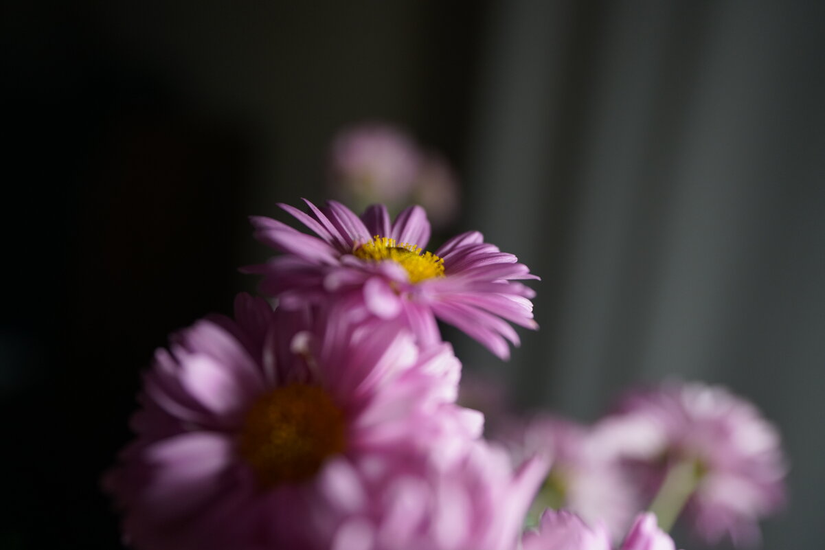 *** - Иван Литвинов