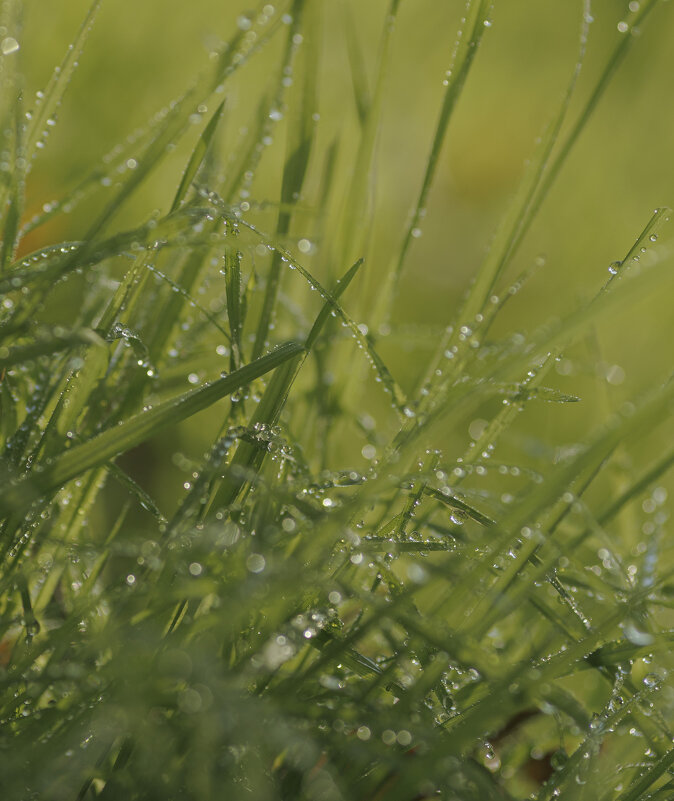 Эксперименты - Светлана Тихонина Эксперименты - Светлана Тихонина